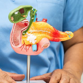 Mejora la función del páncreas y la sensibilidad a la insulina